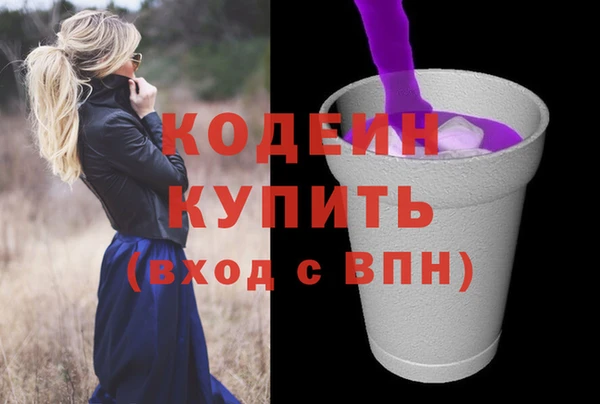 молекула духа Богданович