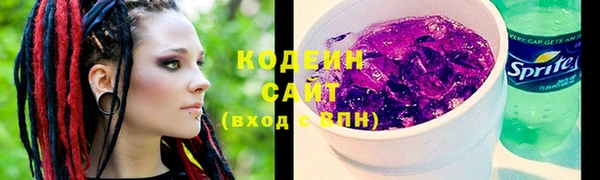 молекула духа Богданович