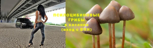 2c-b Богородицк