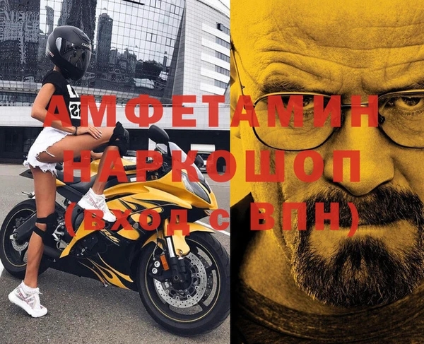 молекула духа Богданович