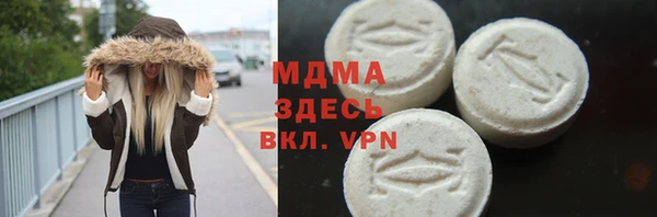 молекула духа Богданович
