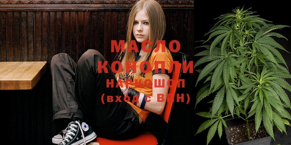 молекула духа Богданович