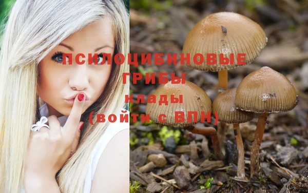 2c-b Богородицк