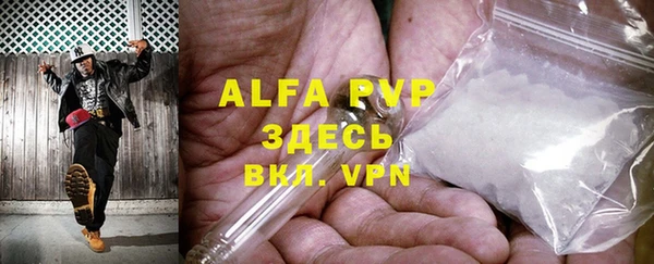 гашик Чегем