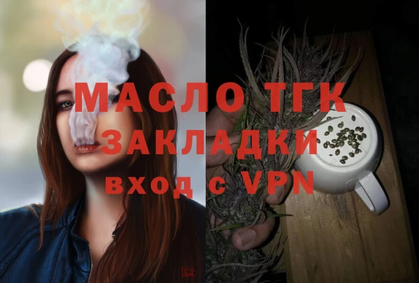 гашик Чегем