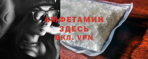 молекула духа Богданович