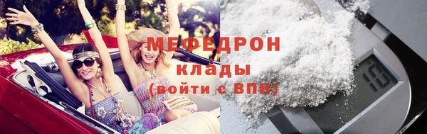 молекула духа Богданович