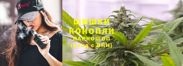 молекула духа Богданович