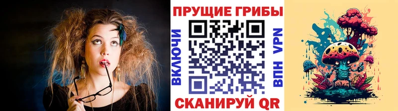 цены наркотик  Мостовской  это телеграм  Галлюциногенные грибы GOLDEN TEACHER 